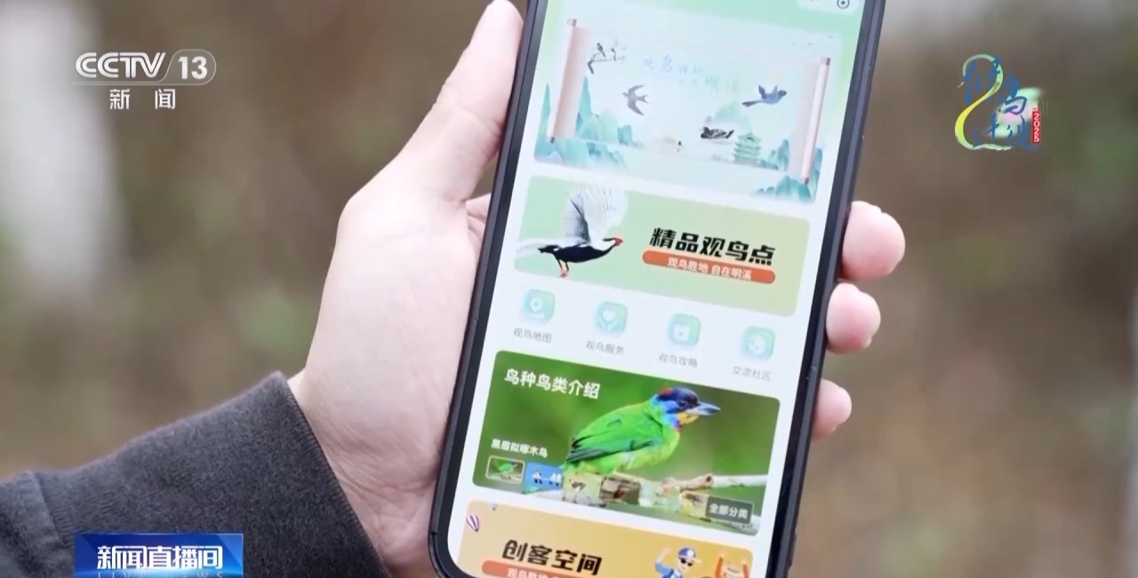 圈的明溪县 究竟有什么独特魅力？不朽情缘游戏网站址在观鸟界火出(图2)