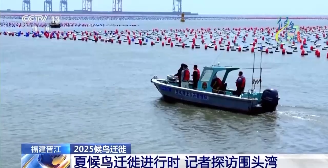 圈的明溪县 究竟有什么独特魅力？不朽情缘游戏网站址在观鸟界火出(图14)