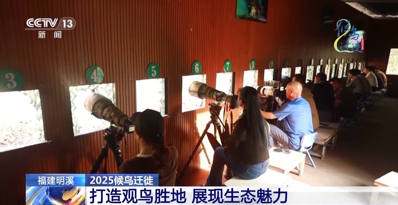 圈的明溪县 究竟有什么独特魅力？不朽情缘游戏网站址在观鸟界火出(图12)