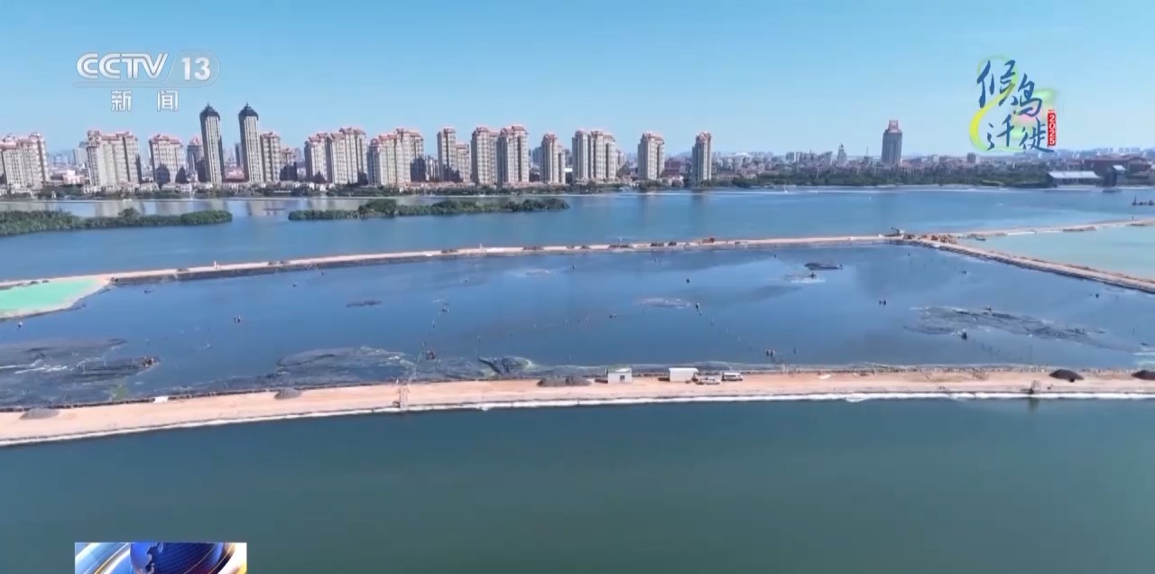 圈的明溪县 究竟有什么独特魅力？不朽情缘游戏网站址在观鸟界火出(图10)